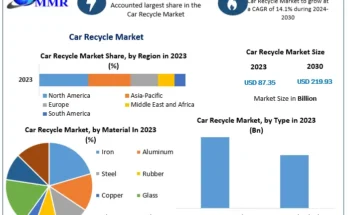 Global Car Recycle Market Size