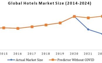 Hotels Market